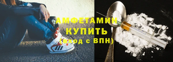 МДПВ Бородино