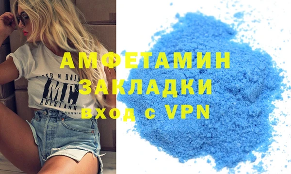 прущие грибы Богданович