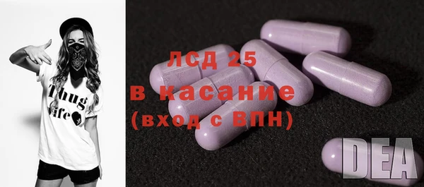 МДПВ Бородино