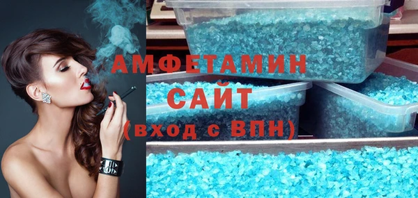 МДПВ Бородино