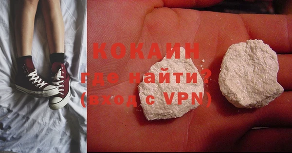 МДПВ Бородино