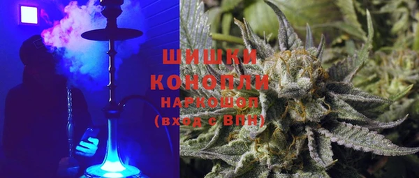 МДПВ Бородино