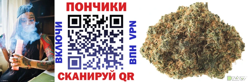 Конопля OG Kush  Купить закладки  Нерюнгри 